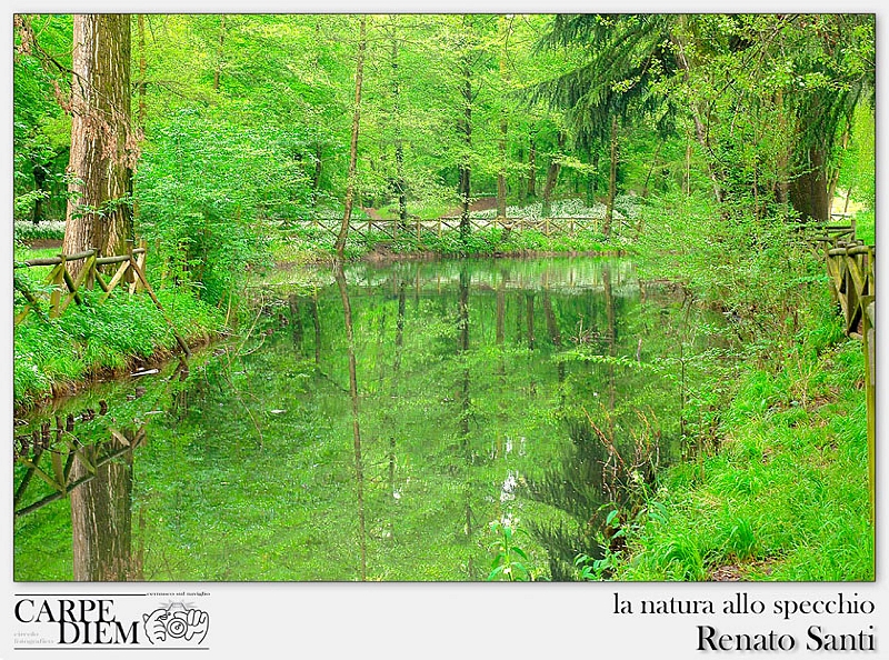 la natura allo specchio.jpg
